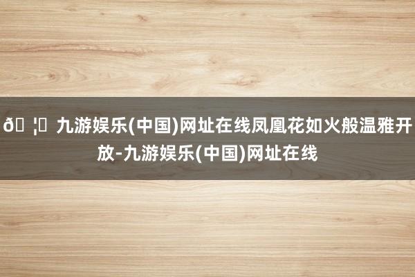 🦄九游娱乐(中国)网址在线凤凰花如火般温雅开放-九游娱乐(中国)网址在线