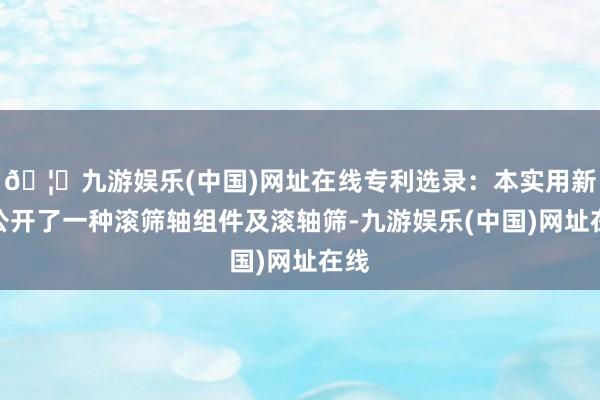 🦄九游娱乐(中国)网址在线专利选录：本实用新式公开了一种滚筛轴组件及滚轴筛-九游娱乐(中国)网址在线