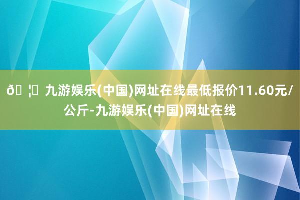 🦄九游娱乐(中国)网址在线最低报价11.60元/公斤-九游娱乐(中国)网址在线