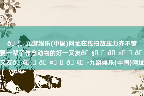 🦄九游娱乐(中国)网址在线扫数压力齐不错变幻为无形！我文书！我要一辈子作念动物的好一又友🧑‍🤝‍🧑-九游娱乐(中国)网址在线