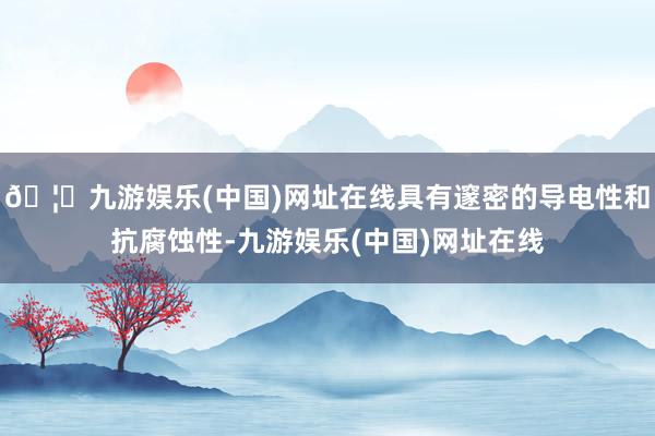 🦄九游娱乐(中国)网址在线具有邃密的导电性和抗腐蚀性-九游娱乐(中国)网址在线