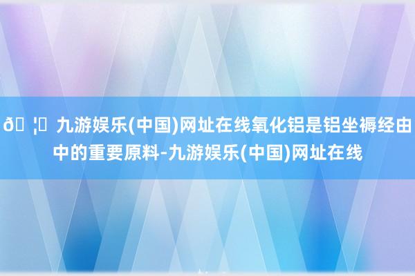 🦄九游娱乐(中国)网址在线氧化铝是铝坐褥经由中的重要原料-九游娱乐(中国)网址在线