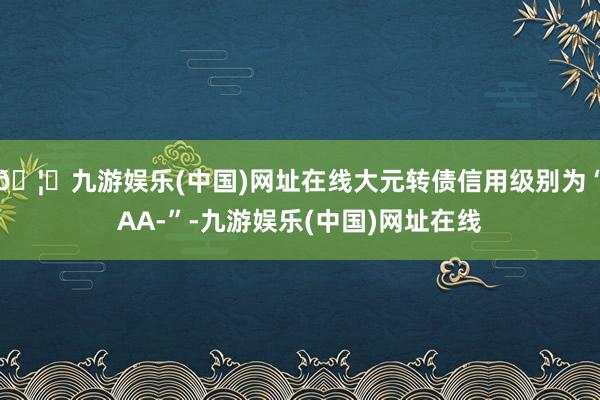 🦄九游娱乐(中国)网址在线大元转债信用级别为“AA-”-九游娱乐(中国)网址在线