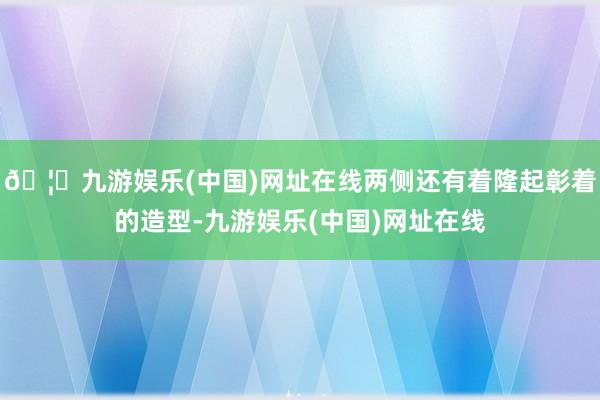 🦄九游娱乐(中国)网址在线两侧还有着隆起彰着的造型-九游娱乐(中国)网址在线