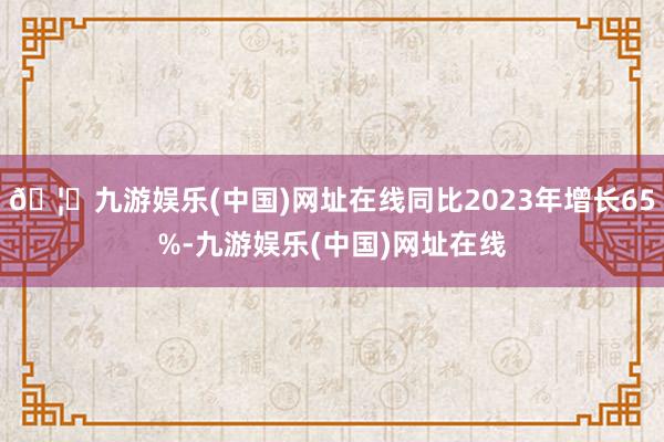 🦄九游娱乐(中国)网址在线同比2023年增长65%-九游娱乐(中国)网址在线