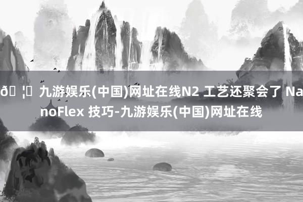 🦄九游娱乐(中国)网址在线N2 工艺还聚会了 NanoFlex 技巧-九游娱乐(中国)网址在线