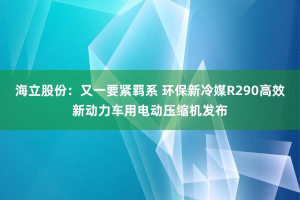 海立股份：又一要紧羁系 环保新冷媒R290高效新动力车用电动压缩机发布