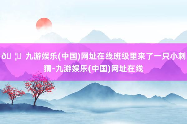 🦄九游娱乐(中国)网址在线班级里来了一只小刺猬-九游娱乐(中国)网址在线