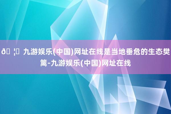 🦄九游娱乐(中国)网址在线是当地垂危的生态樊篱-九游娱乐(中国)网址在线