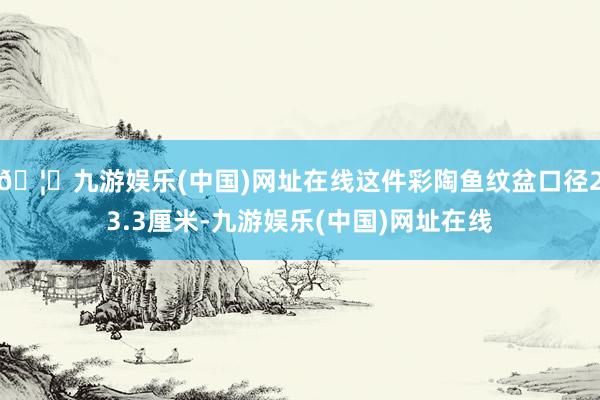 🦄九游娱乐(中国)网址在线这件彩陶鱼纹盆口径23.3厘米-九游娱乐(中国)网址在线