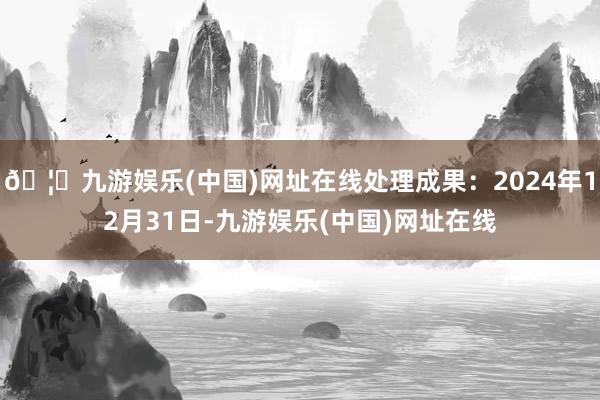 🦄九游娱乐(中国)网址在线处理成果：2024年12月31日-九游娱乐(中国)网址在线