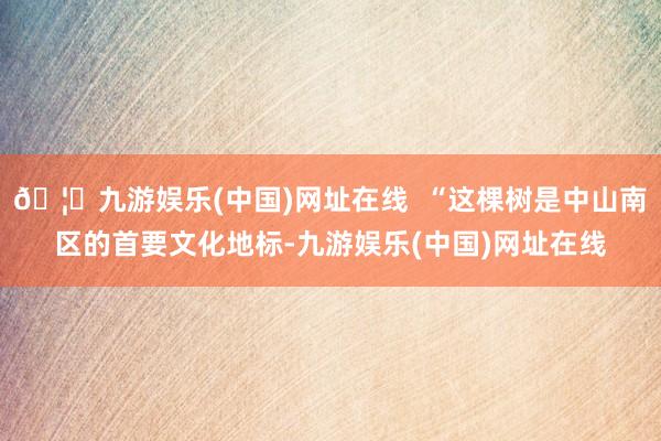 🦄九游娱乐(中国)网址在线  “这棵树是中山南区的首要文化地标-九游娱乐(中国)网址在线