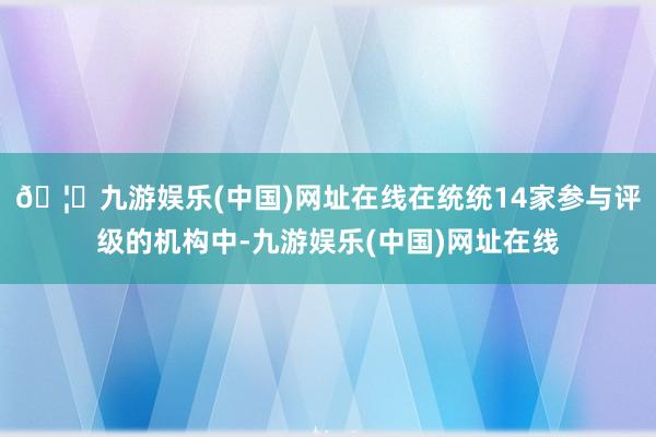 🦄九游娱乐(中国)网址在线在统统14家参与评级的机构中-九游娱乐(中国)网址在线