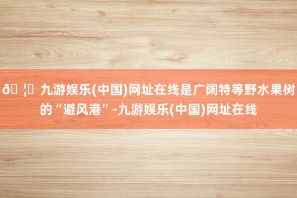 🦄九游娱乐(中国)网址在线是广阔特等野水果树的“避风港”-九游娱乐(中国)网址在线