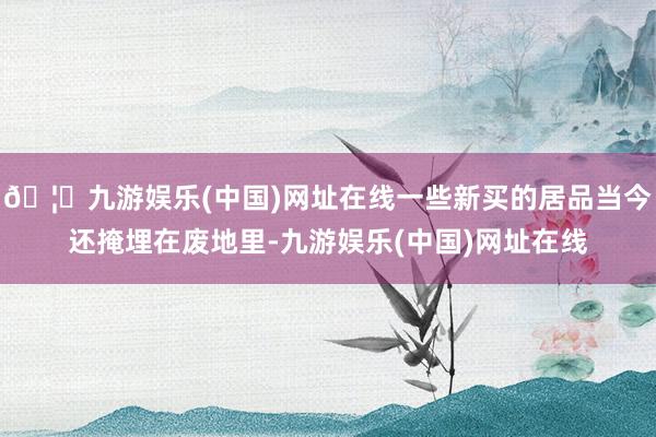 🦄九游娱乐(中国)网址在线一些新买的居品当今还掩埋在废地里-九游娱乐(中国)网址在线