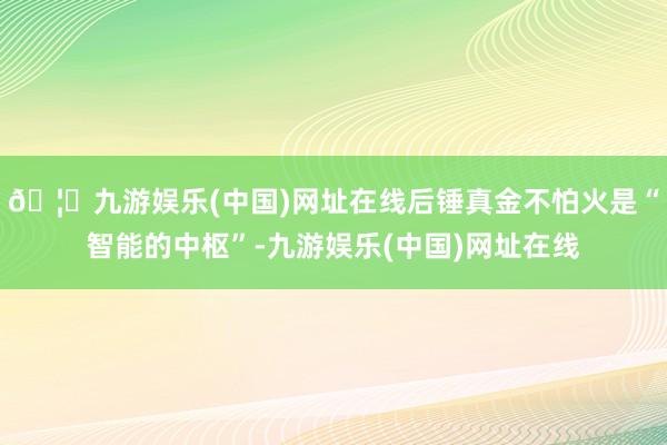 🦄九游娱乐(中国)网址在线后锤真金不怕火是“智能的中枢”-九游娱乐(中国)网址在线